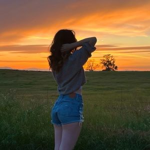 BKE cropped green sweater